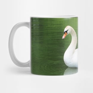 Mute Swan Swimming In A Pond Mug